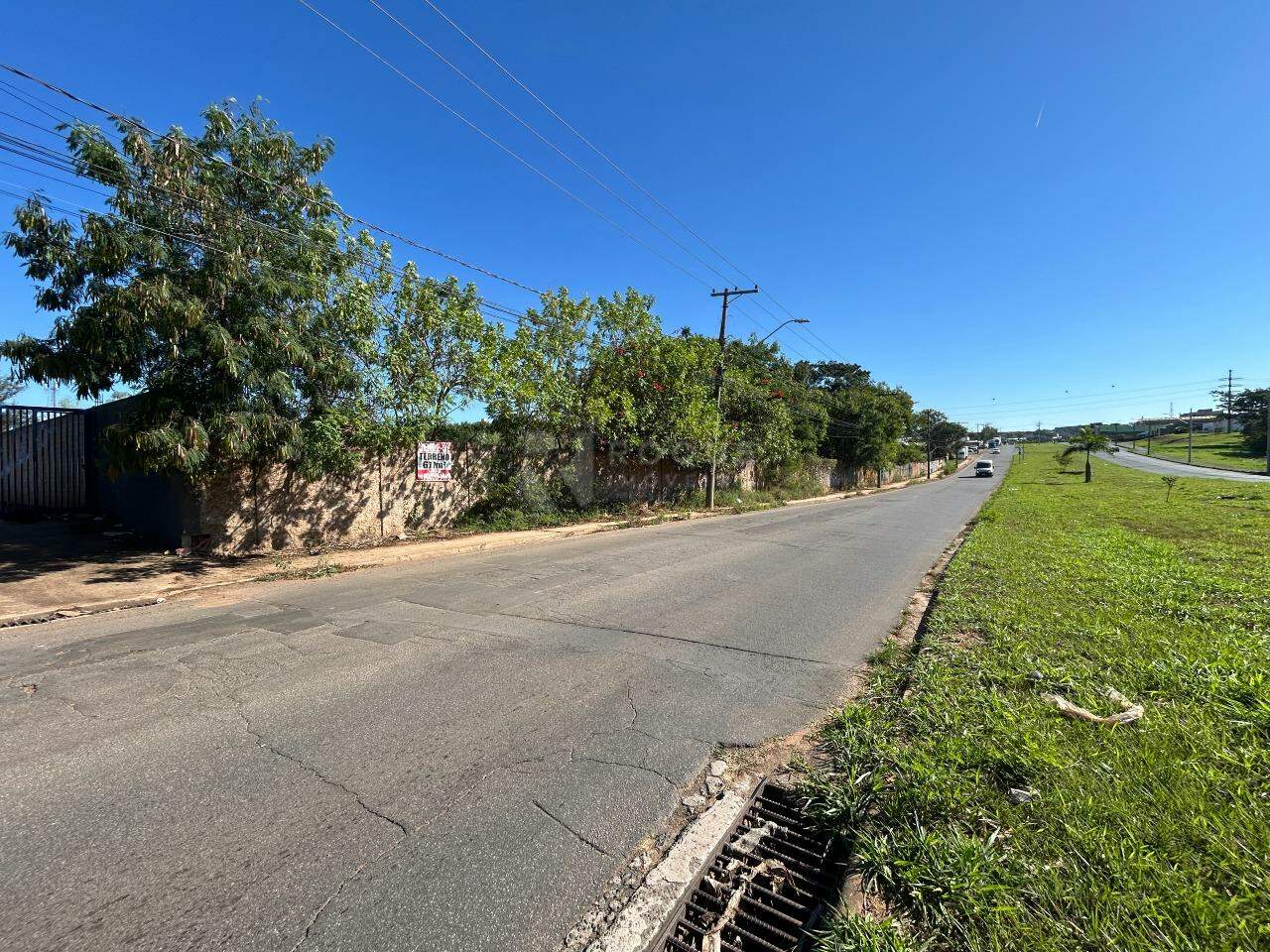 Terreno para aluguel no bairro Jardim Nova Suiça: Área do terreno 