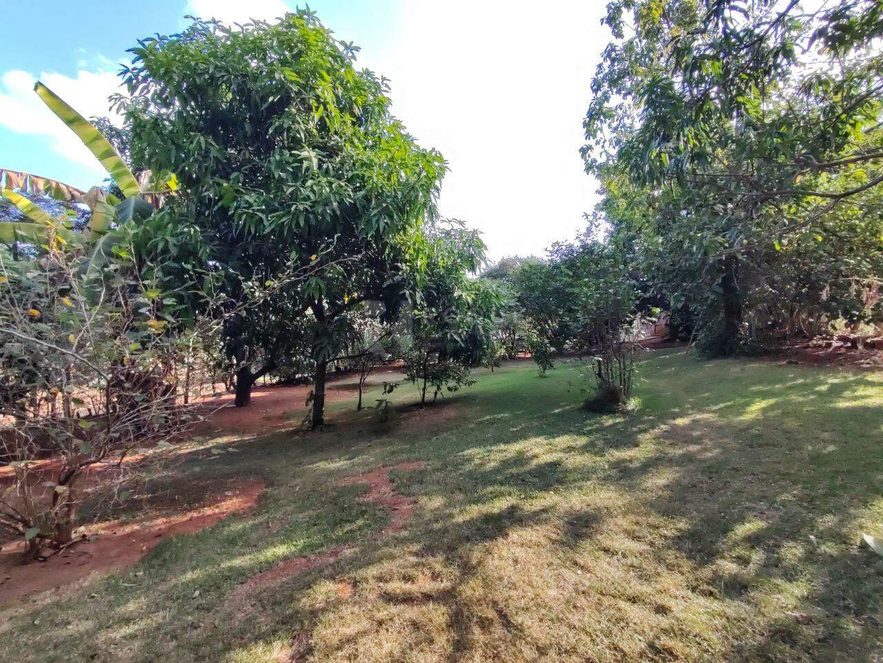 Chácara à venda no bairro Jardim Chácaras Morro Alto: POMAR