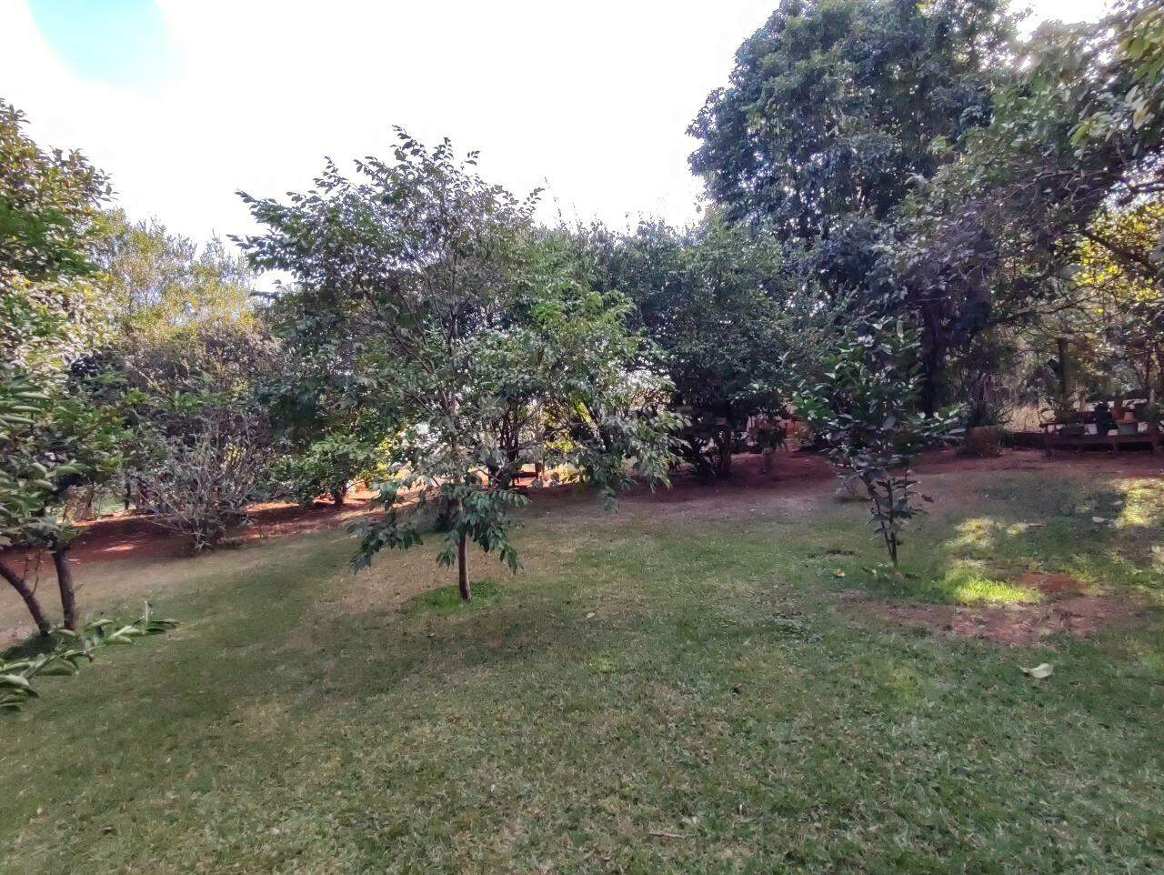 Chácara à venda no bairro Jardim Chácaras Morro Alto: POMAR