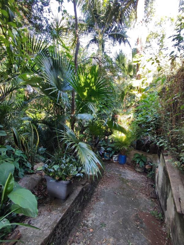 Casa Residencial à venda no bairro Vila Queiroz: QUINTAL / FUNDOS