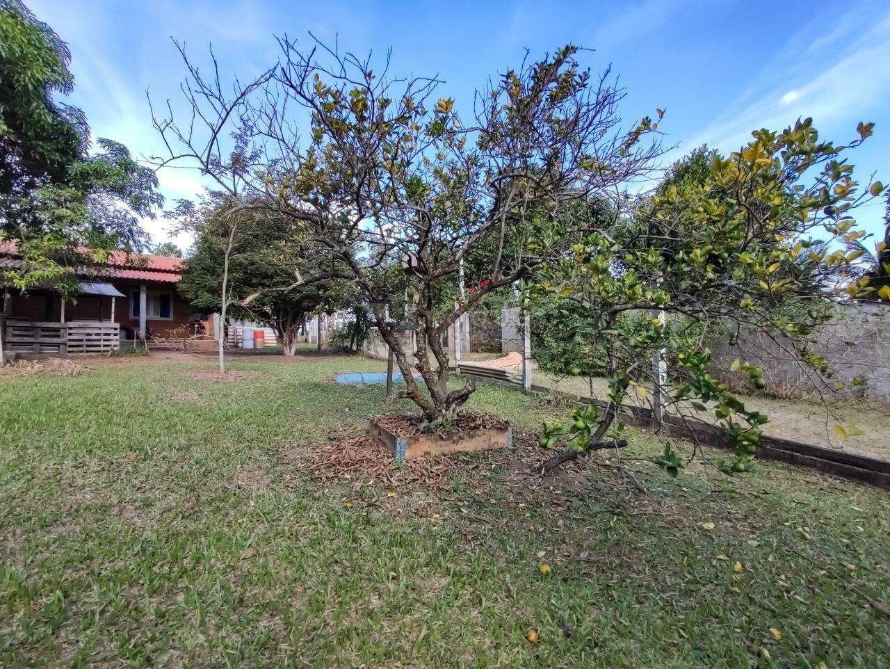 Chácara à venda no bairro Área Rural de Limeira: ÁREA EXTERNA