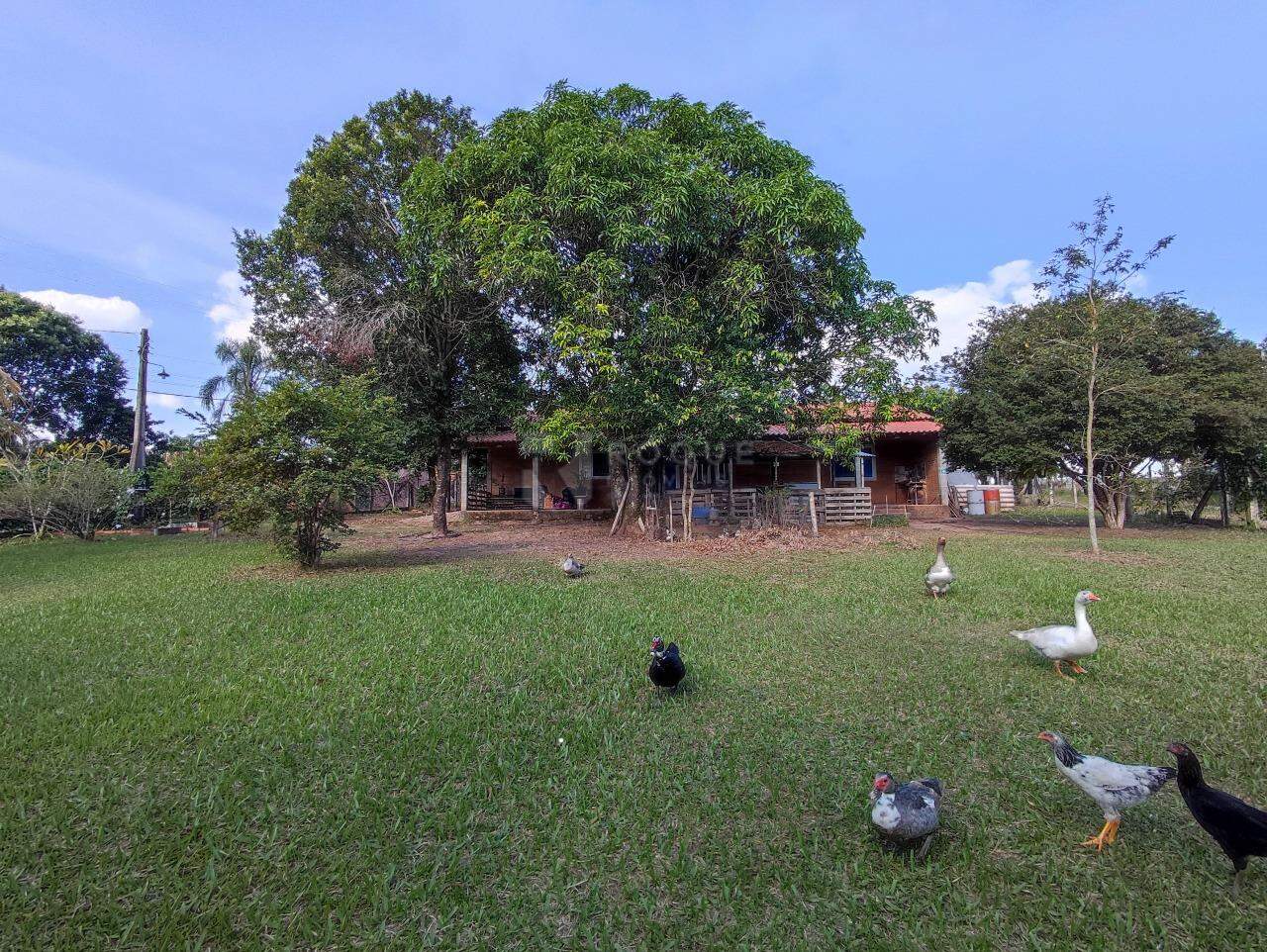 Chácara à venda no bairro Área Rural de Limeira: ÁREA EXTERNA