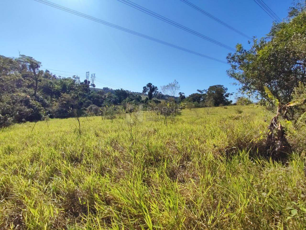 Chácara à venda no bairro Ribeirão do Pinhal: ÁREA DE PLANTIO