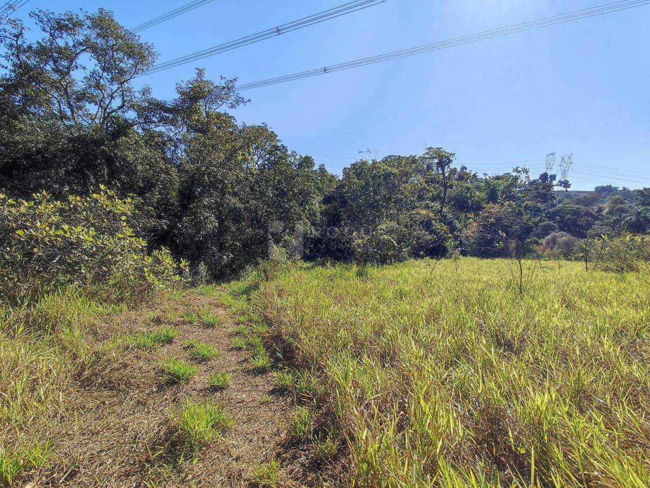 Chácara à venda no bairro Ribeirão do Pinhal: ÁREA DE PLANTIO