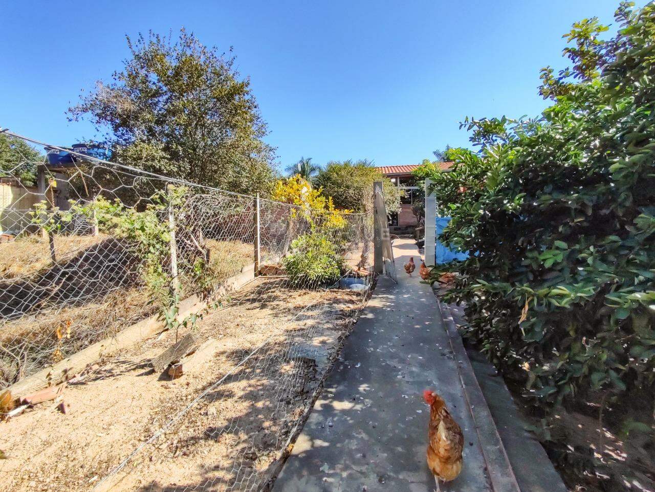 Chácara à venda no bairro Pires de Baixo: ÁREA EXTERNA