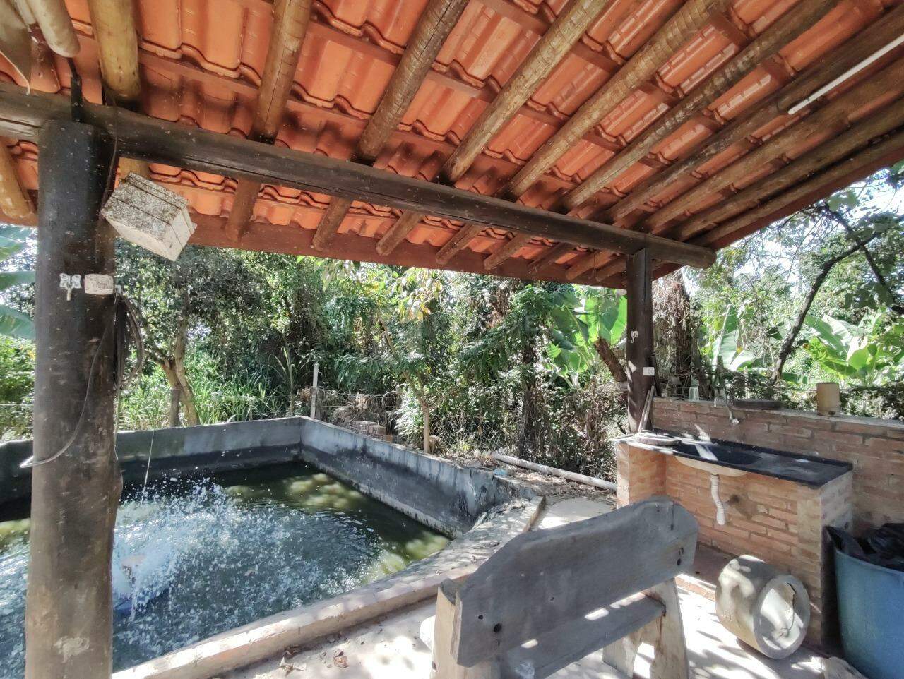 Chácara à venda no bairro Pires de Baixo: TANQUE