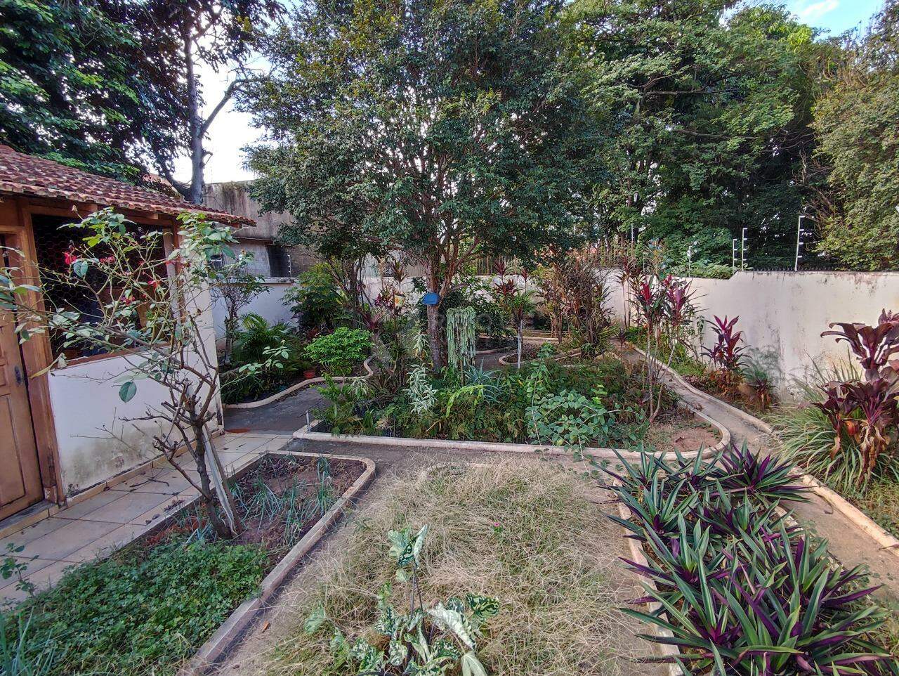 Casa Residencial para aluguel no bairro Centro: QUINTAL