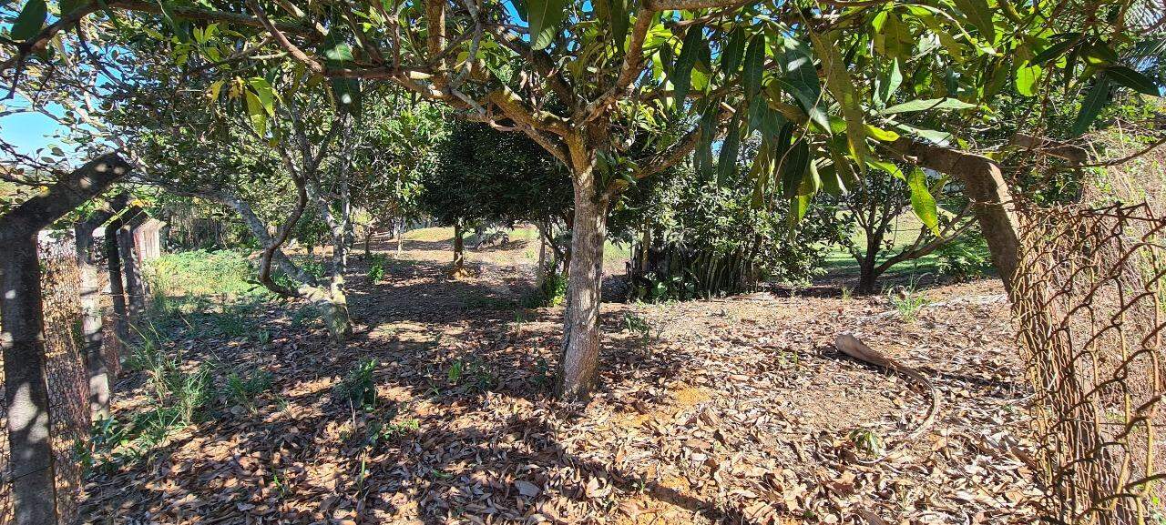 Chácara à venda no bairro Pires de Cima: 