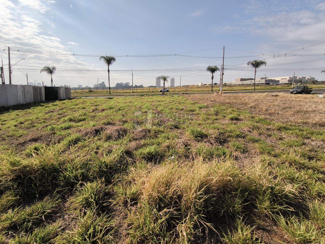 Terreno à venda no bairro Jardim Cidade Universitária I: 