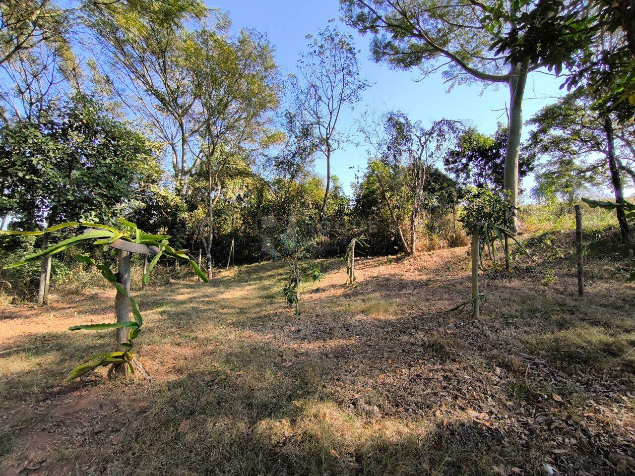 Chácara à venda no bairro Jardim Lagoa Nova: QUINTAL