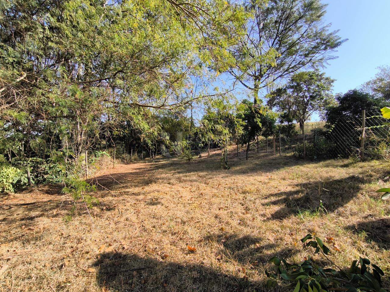 Chácara à venda no bairro Jardim Lagoa Nova: QUINTAL