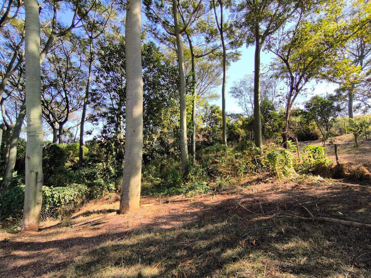 Chácara à venda no bairro Jardim Lagoa Nova: QUINTAL