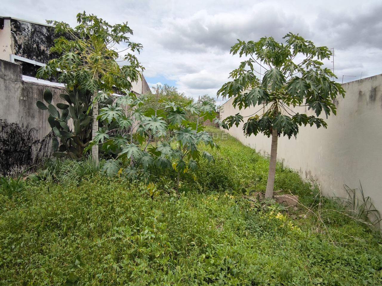 Terreno à venda no bairro Jardim Residencial Campo Novo: 