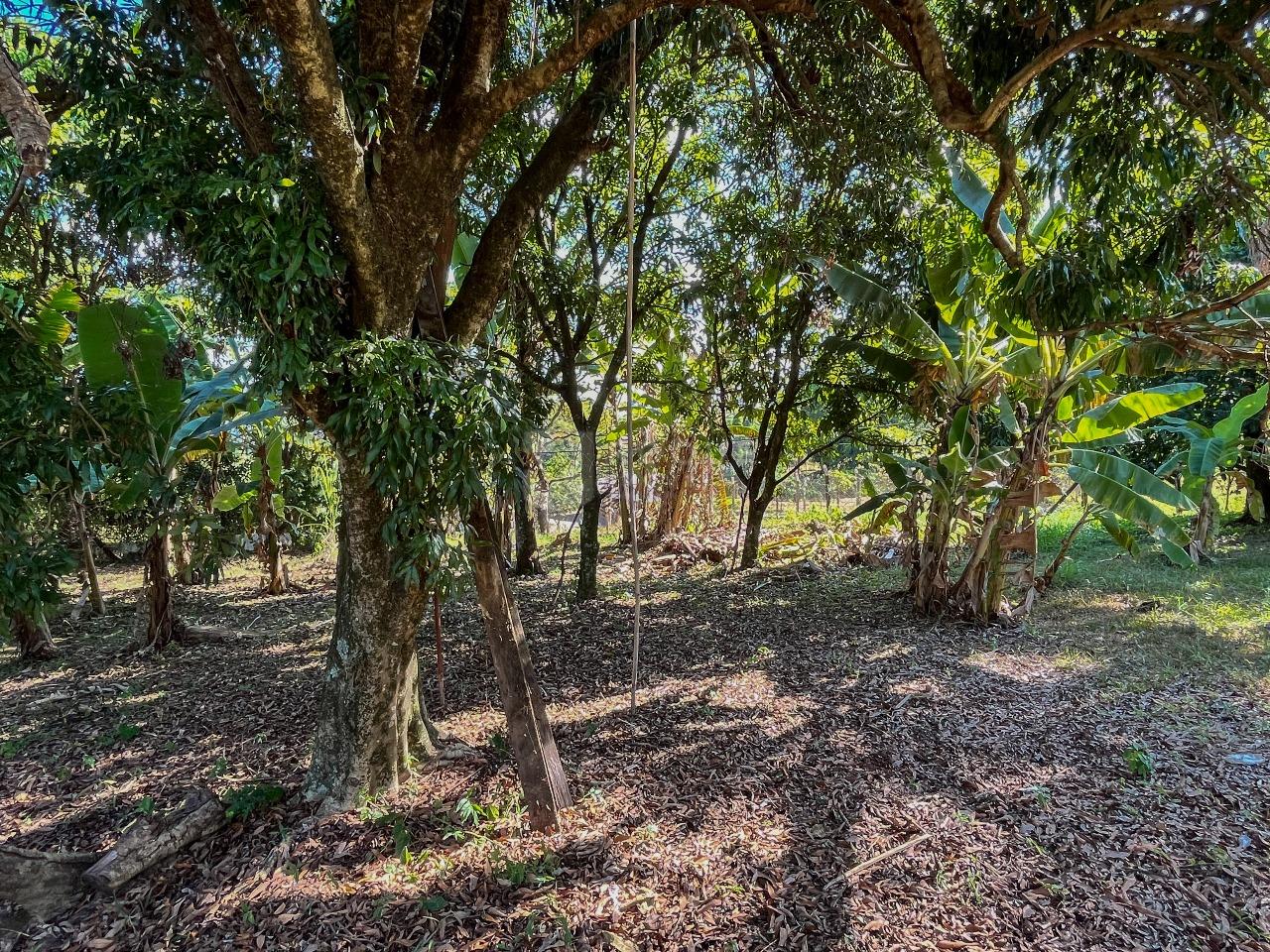 Chácara à venda no bairro Estancia Boa vista: Área externa 