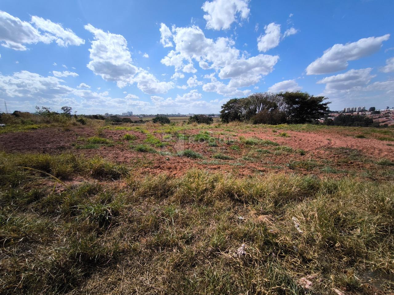 Terreno à venda no bairro Jardim Primavera: 