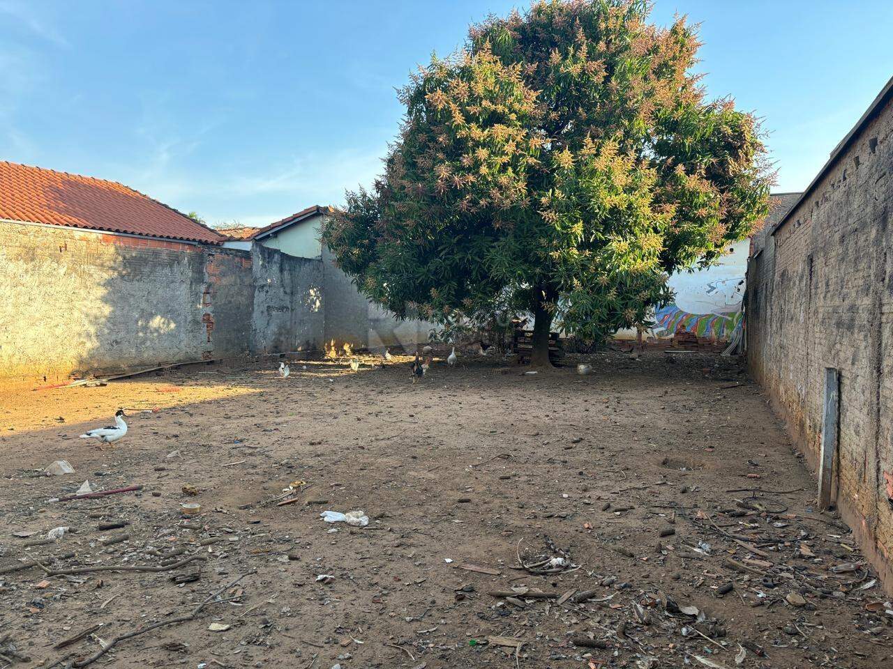Terreno à venda no bairro Jardim Santo André: 
