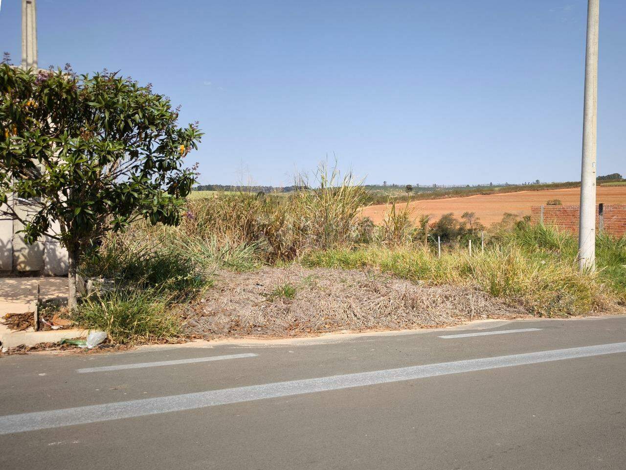 Terreno à venda no bairro Jardim Marajoara: 