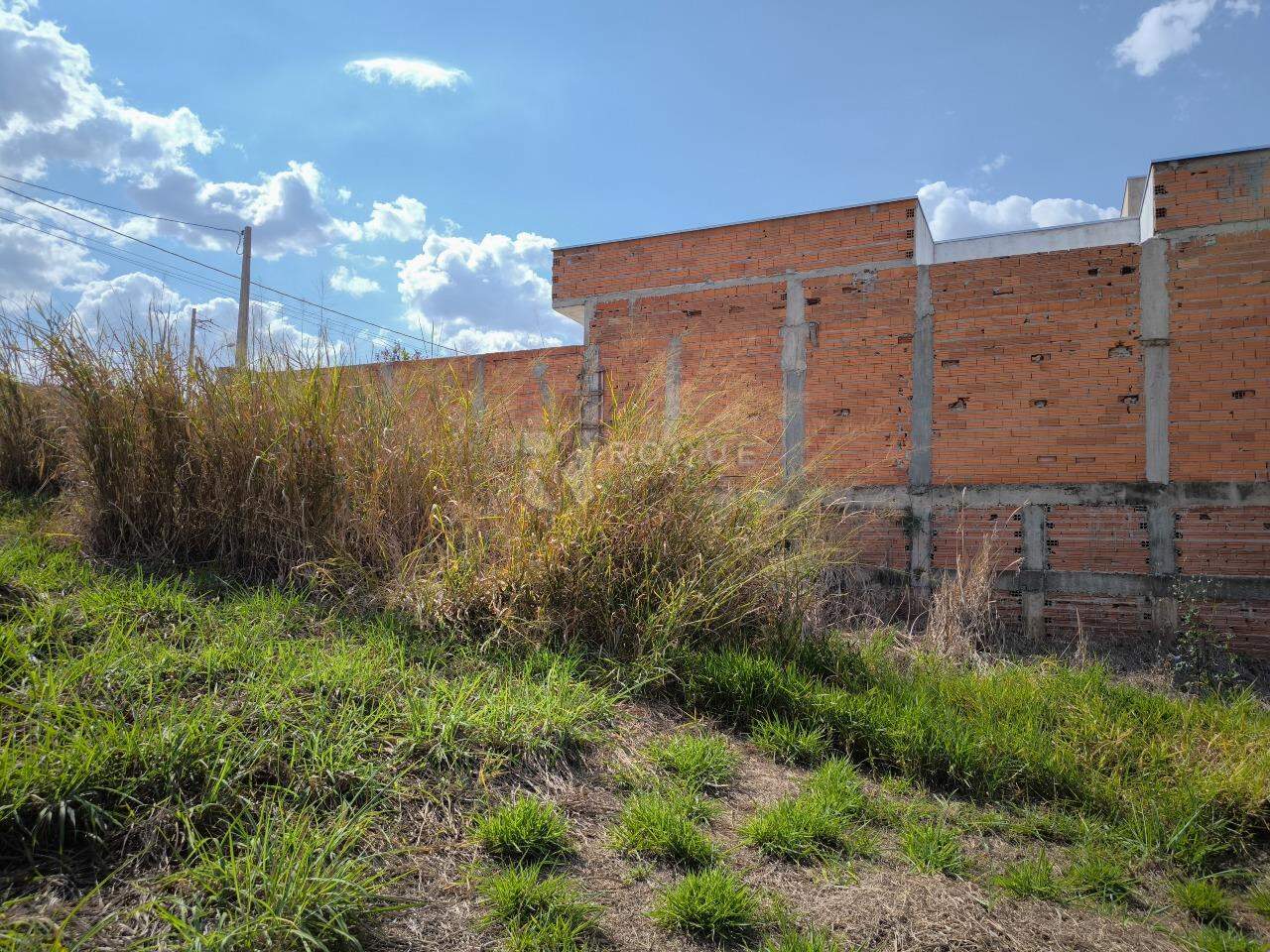 Terreno à venda no bairro Jardim Marajoara: 