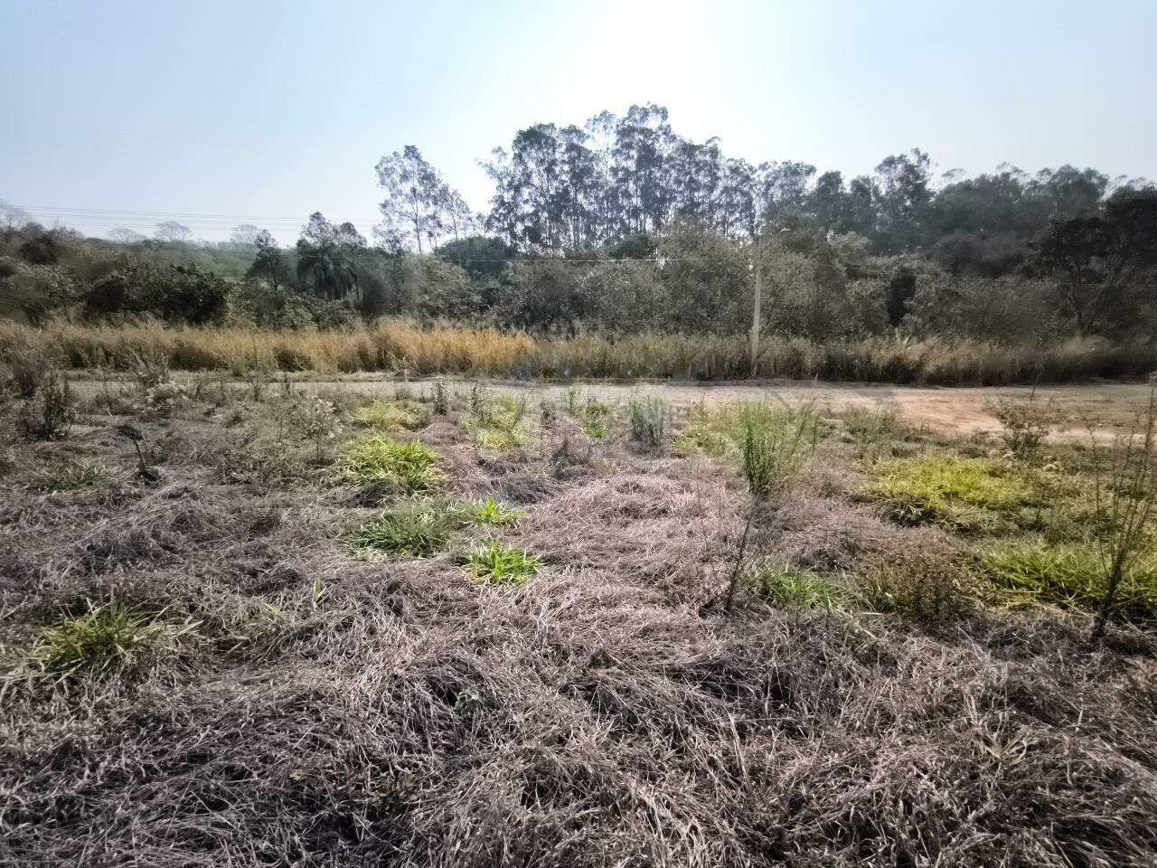 Terreno em condomínio à venda no bairro Jardim Lagoa Nova: 
