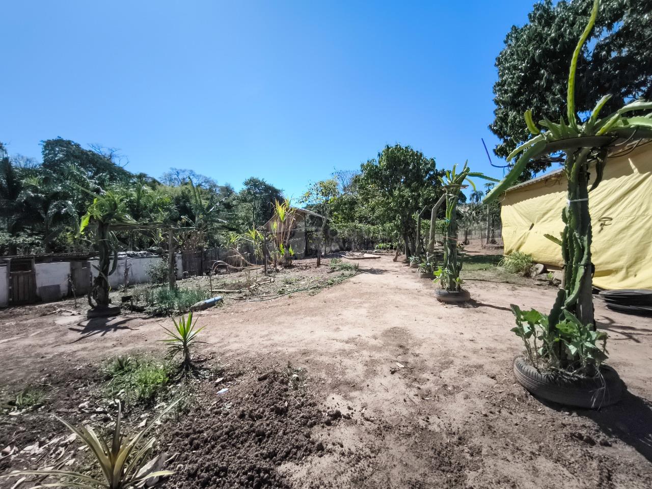 Chácara à venda no bairro Bairro dos Lopes: ÁREA DE PLANTIO