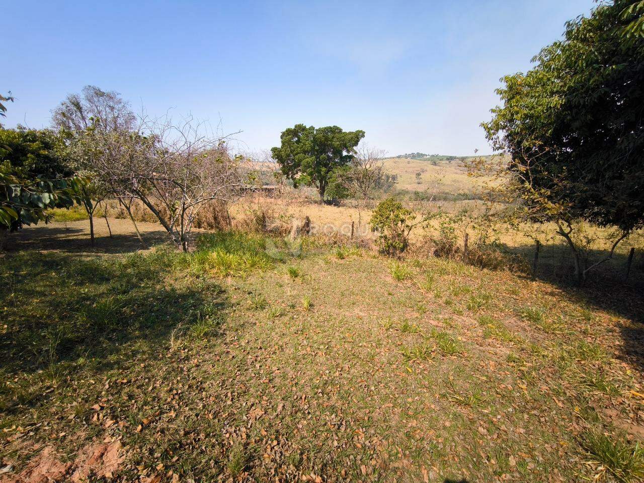 Sítio à venda no bairro Área Rural de Limeira: ÁREA EXTERNA