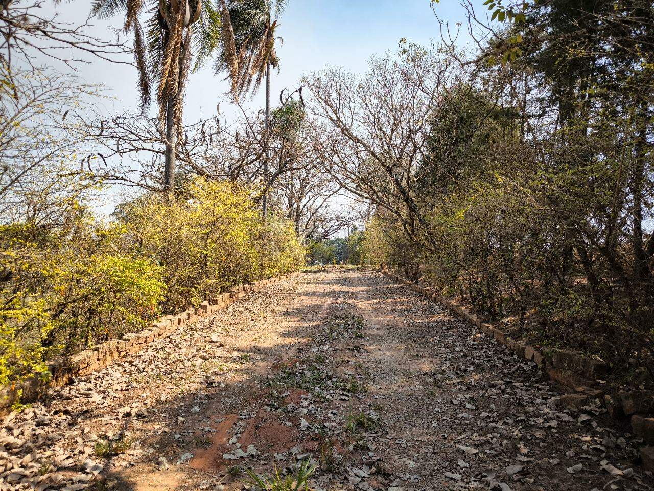Sítio à venda no bairro Área Rural de Limeira: ENTRADA