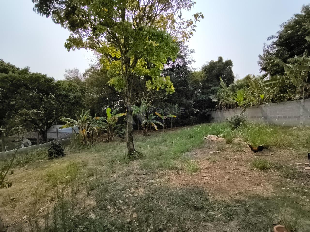 Chácara à venda no bairro Pires de Cima: ÁREA VERDE