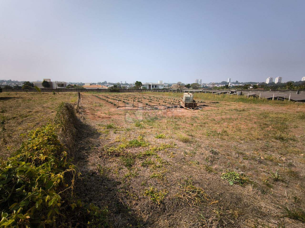 Chácara à venda no bairro Jardim Florença: ÁREA DE PLANTIO