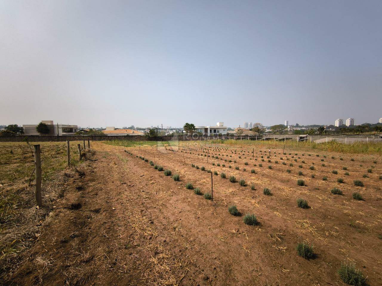 Chácara à venda no bairro Jardim Florença: ÁREA DE PLANTIO