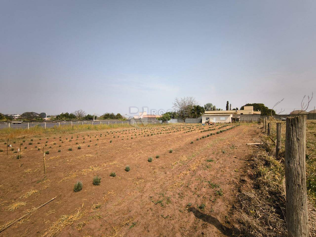 Chácara à venda no bairro Jardim Florença: ÁREA DE PLANTIO