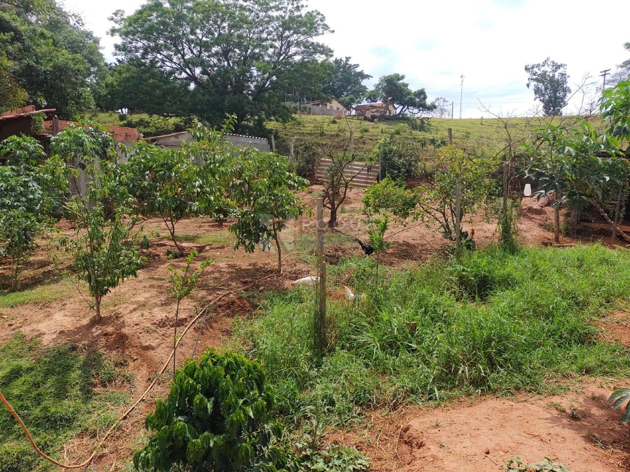 Chácara à venda no bairro Jardim Lagoa Nova: 