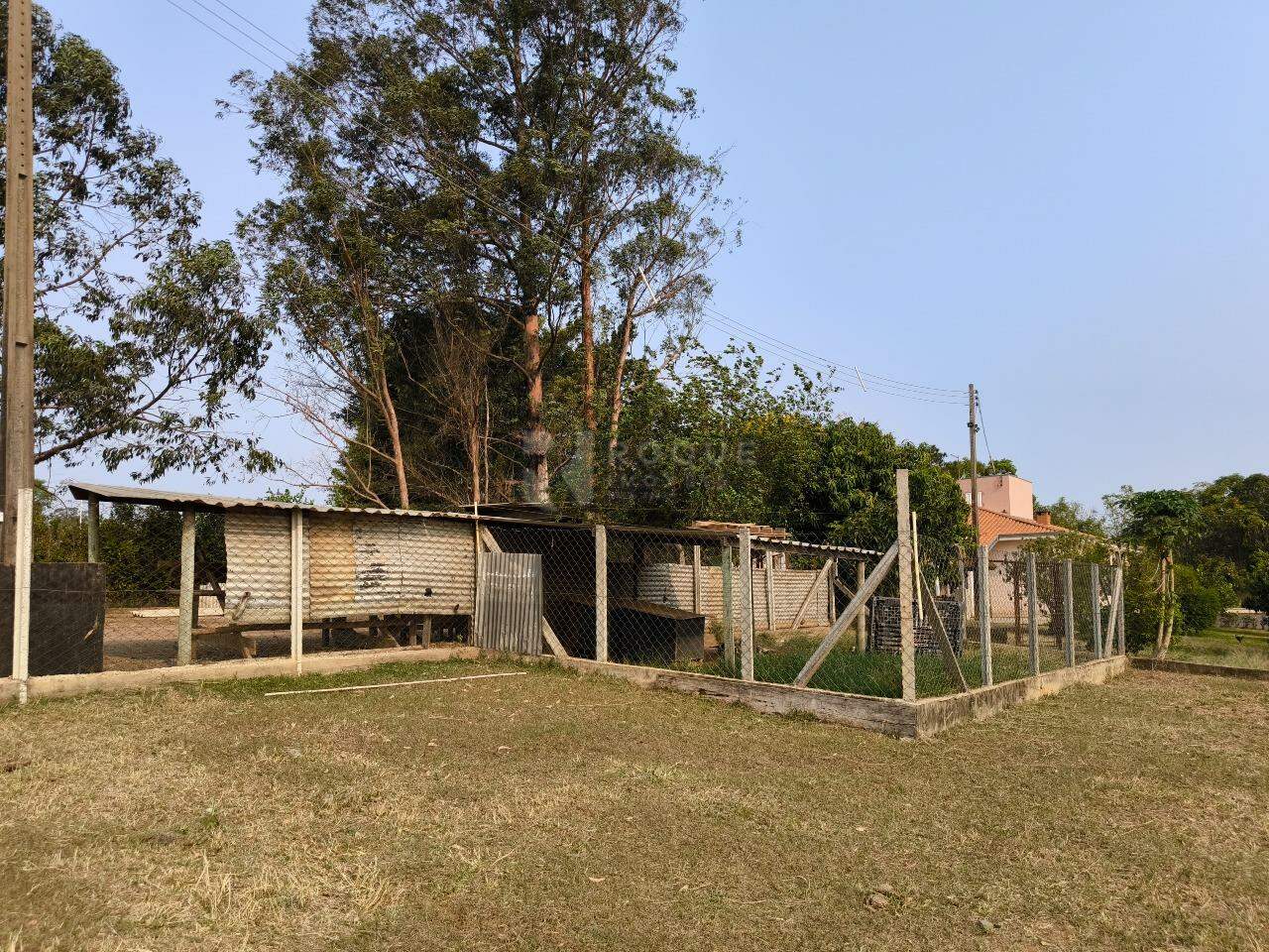 Chácara à venda no bairro Bairro dos Pires de Baixo: CANIL