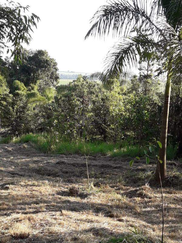 Sítio à venda no bairro Área Rural de Limeira: