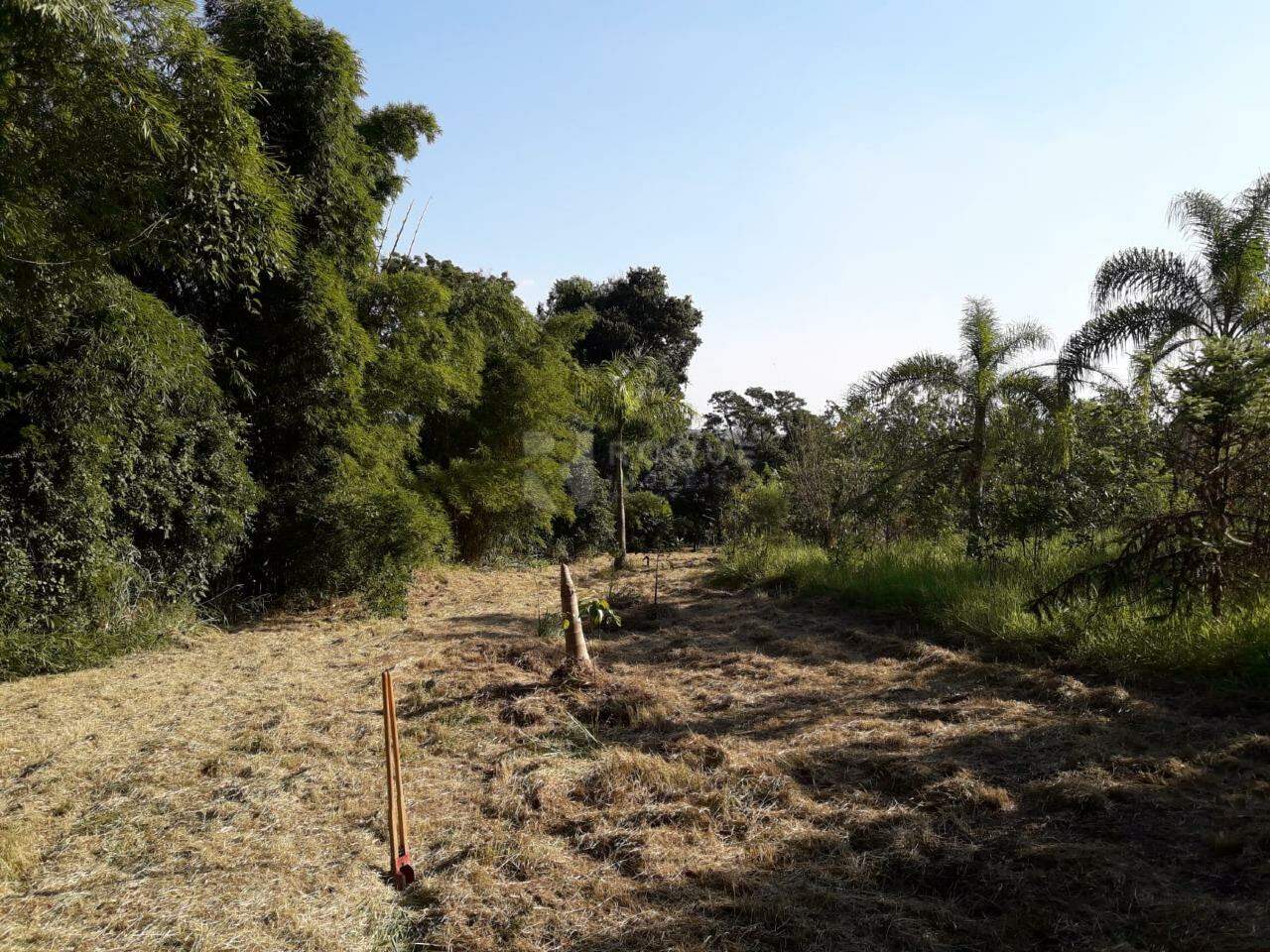 Sítio à venda no bairro Área Rural de Limeira: 