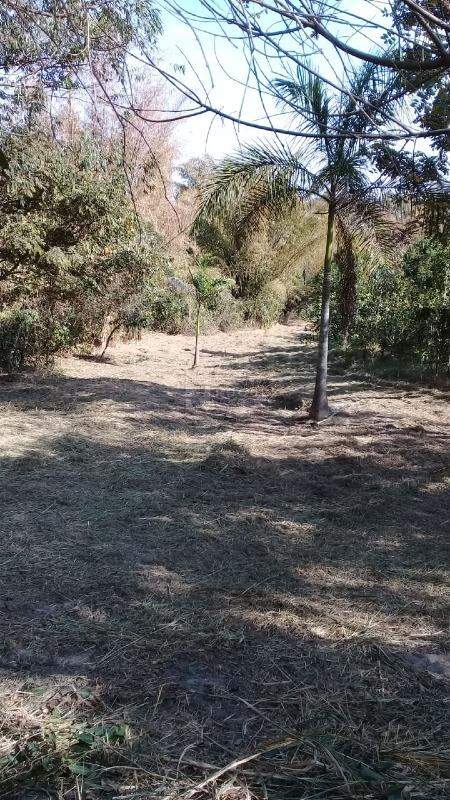 Sítio à venda no bairro Área Rural de Limeira: 