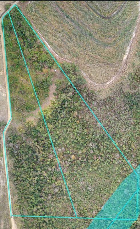 Sítio à venda no bairro Área Rural de Limeira: