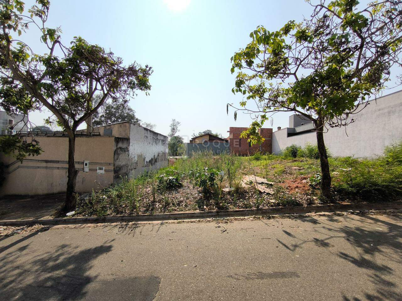 Terreno à venda no bairro Residencial Palmeira Real: FRENTE