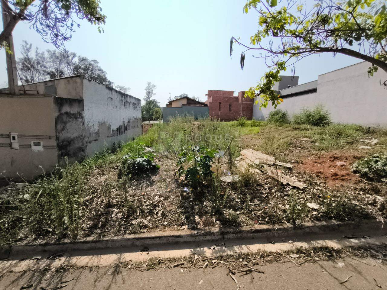Terreno à venda no bairro Residencial Palmeira Real: 