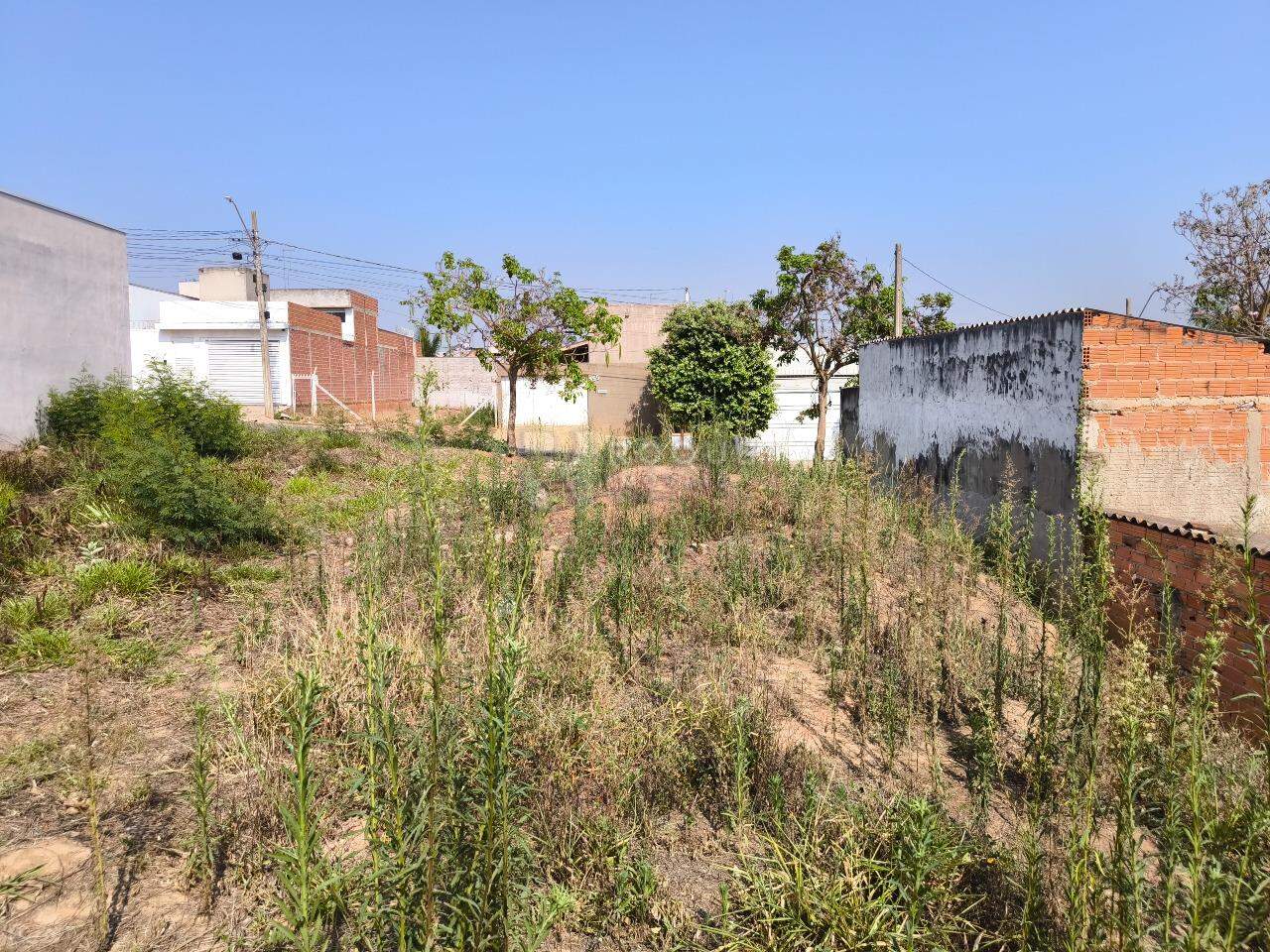 Terreno à venda no bairro Residencial Palmeira Real: 