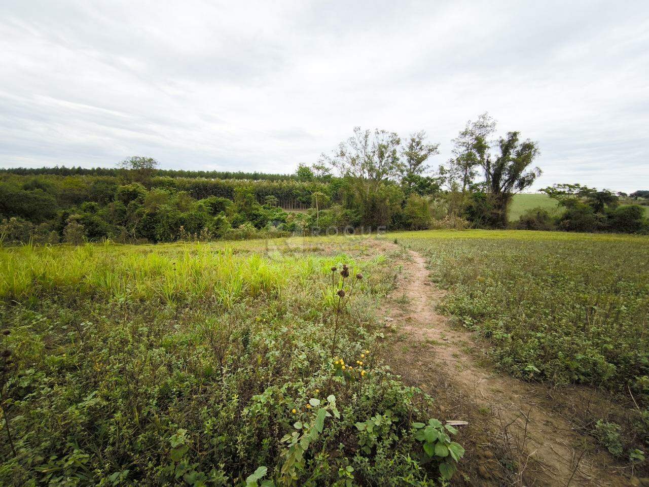 Chácara à venda no bairro Ribeirão do Pinhal: ÁREA
