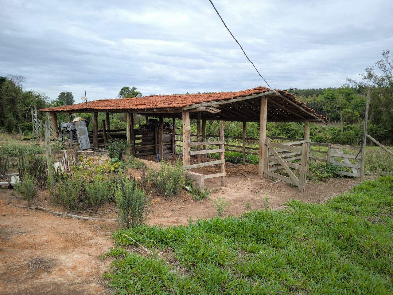 Chácara à venda no bairro Ribeirão do Pinhal: CURRAL