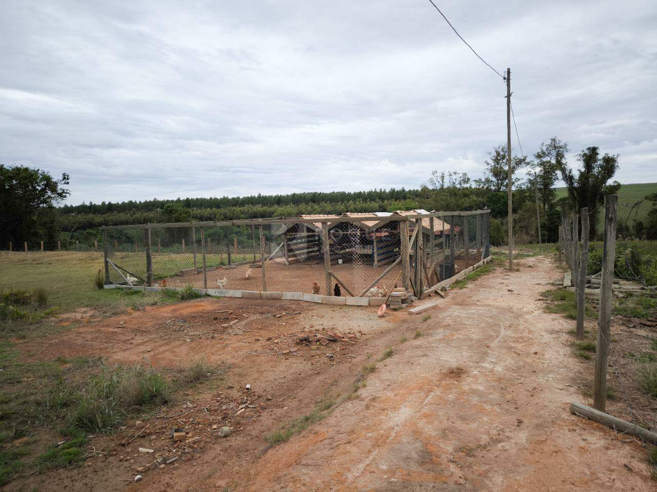 Chácara à venda no bairro Ribeirão do Pinhal: GALINHEIRO
