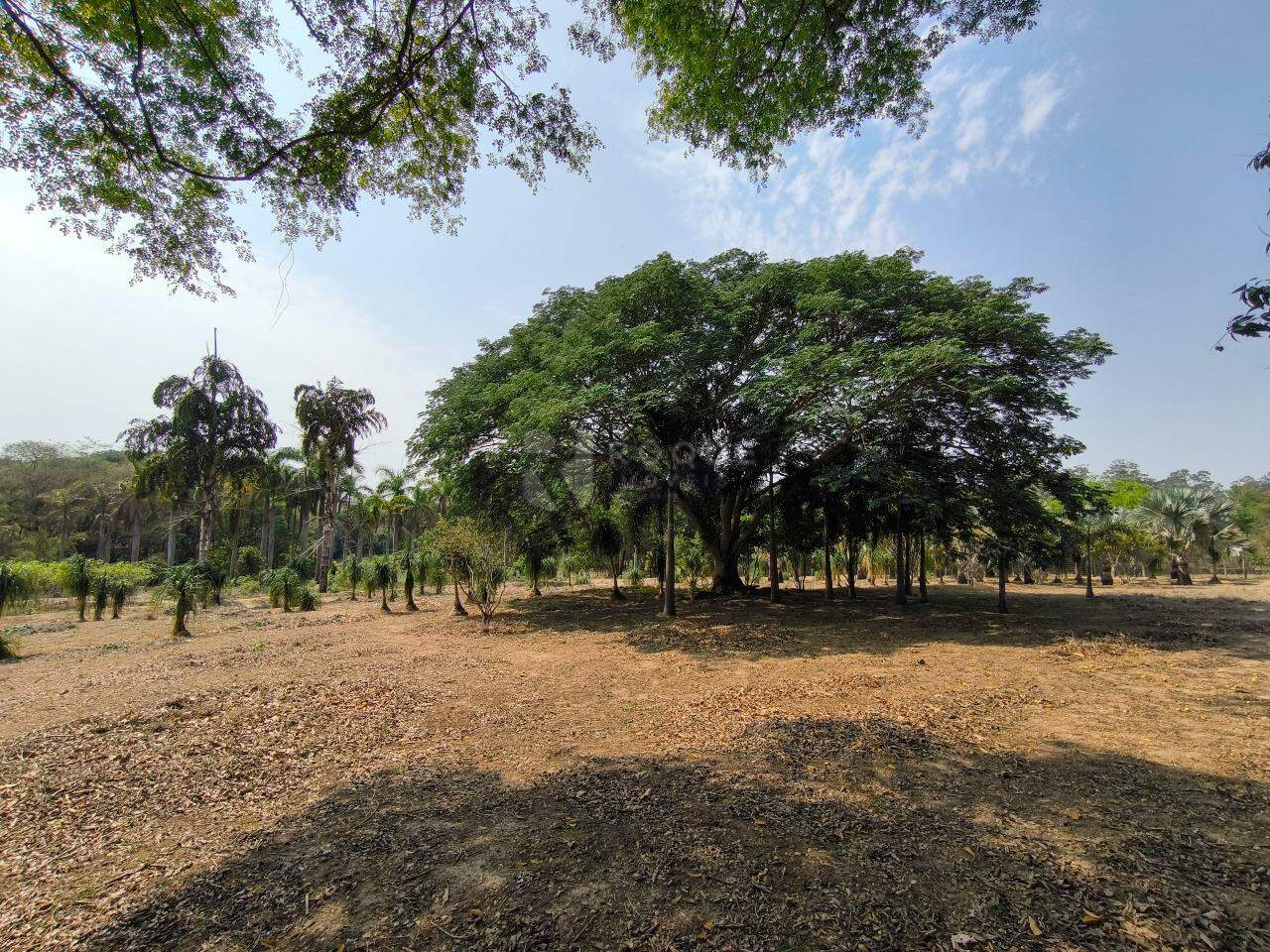 Chácara à venda no bairro Área Rural de Limeira: ÁREA EXTERNA
