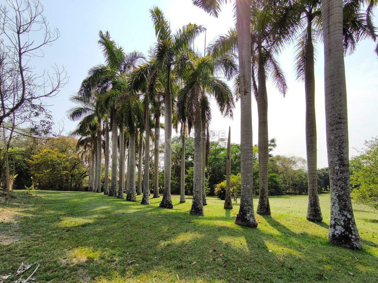 Chácara à venda no bairro Área Rural de Limeira: JARDIM