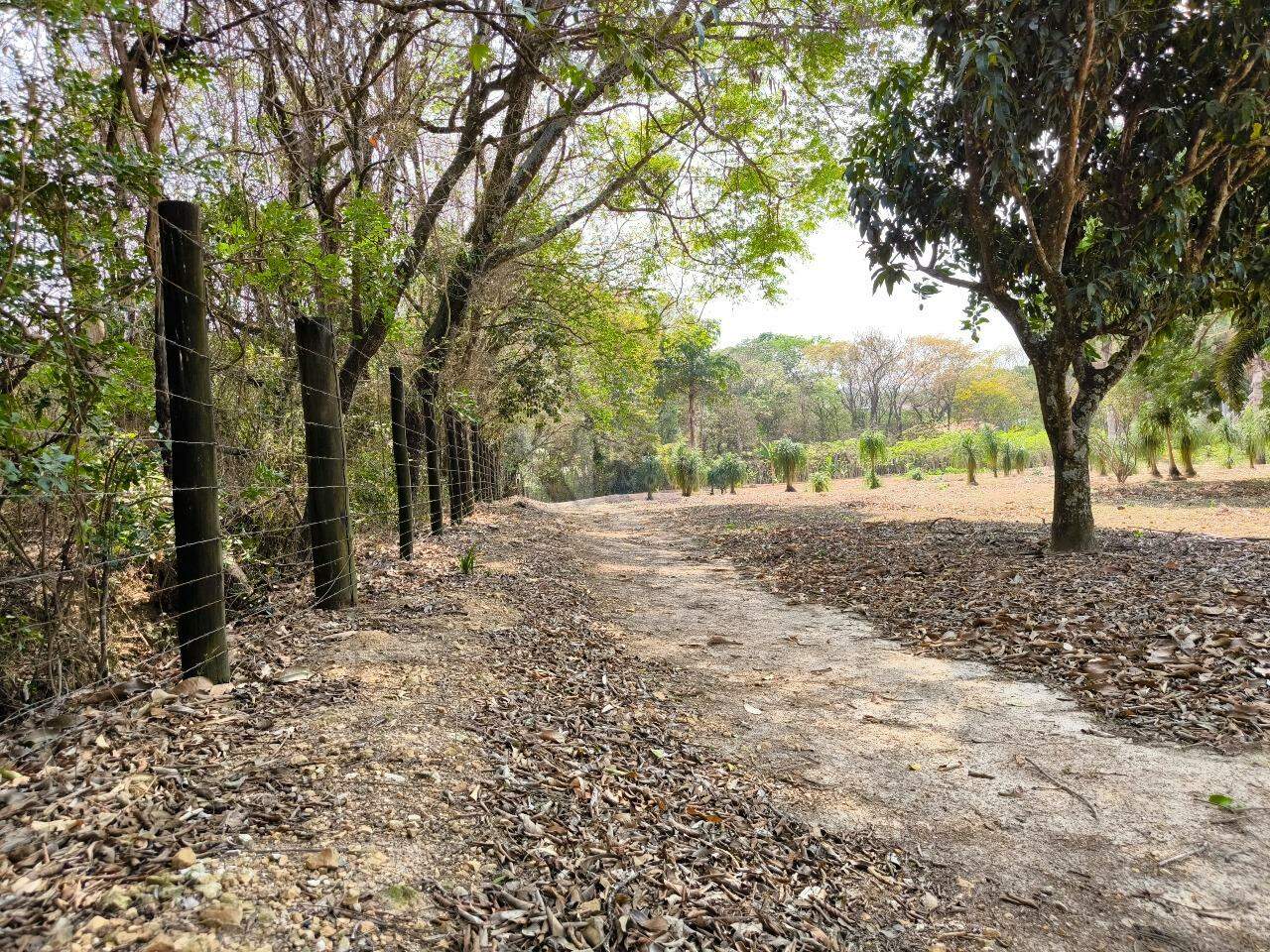 Chácara à venda no bairro Área Rural de Limeira: ÁREA EXTERNA