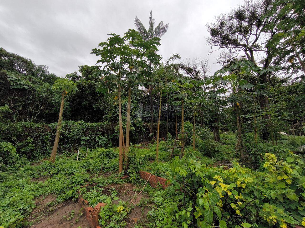 Terreno à venda no bairro Cidade Jardim: 