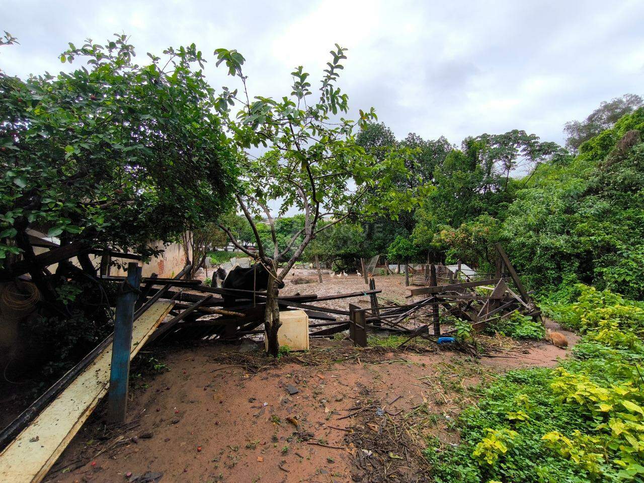Terreno à venda no bairro Cidade Jardim: 