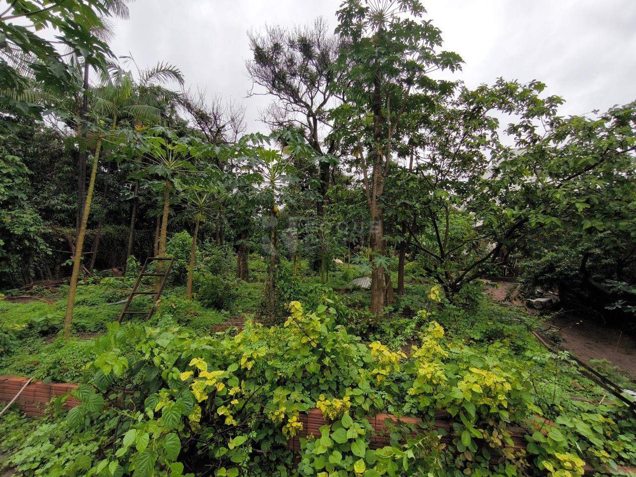 Terreno à venda no bairro Cidade Jardim: 