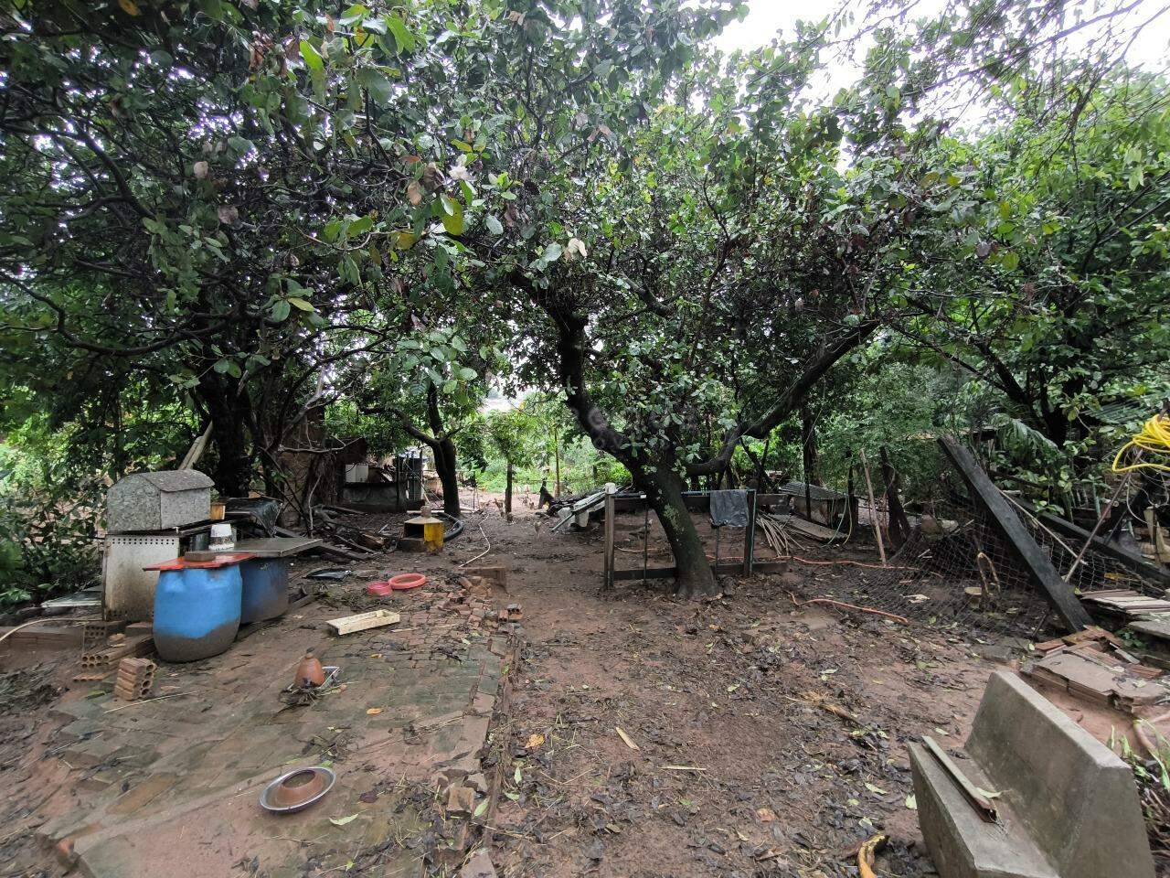 Terreno à venda no bairro Cidade Jardim: 