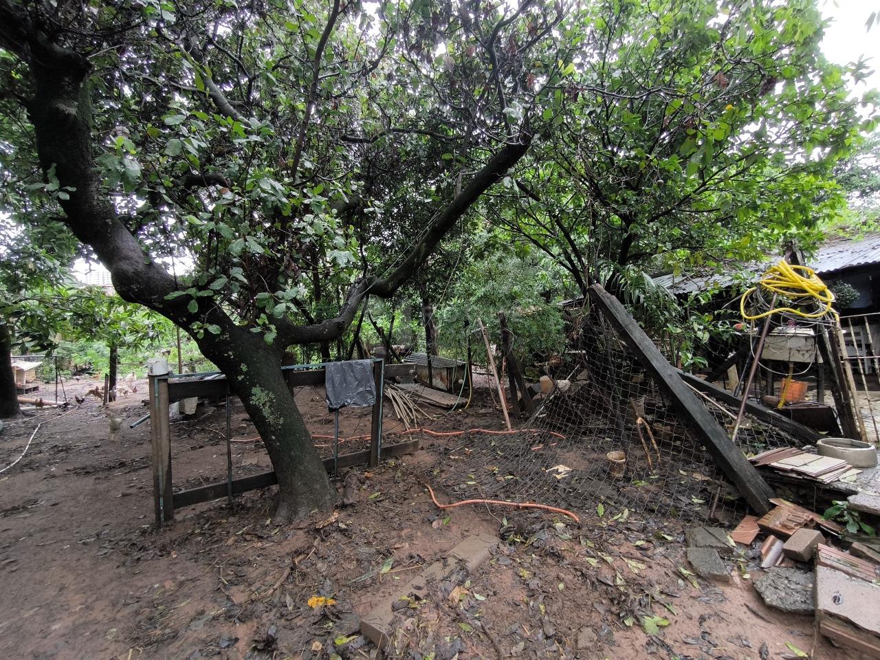 Terreno à venda no bairro Cidade Jardim: 